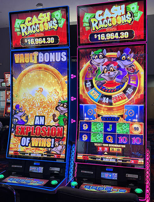 Cash Raccoons